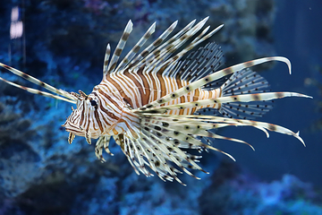 神户都市型水族馆 AQUARIUM×ART átoa第 24 张图片