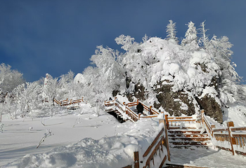 雪乡狗熊岭景区第 32 张图片