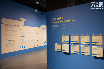 深圳博物馆《宠·爱—猫猫狗狗的世界》展览第 3 张图片