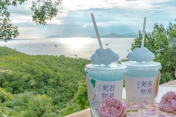 鹿回头风景区第 22 张图片