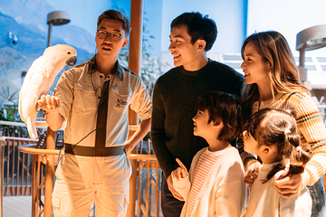 香港海洋公园第 249 张图片