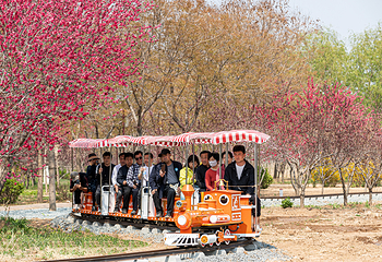 吴桥大运河文化带旅游区第 12 张图片