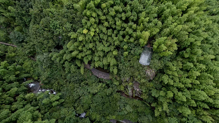 湖州碧坞龙潭第 14 张图片