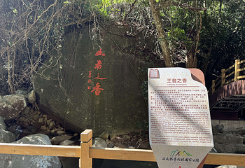 霸王岭第 62 张图片