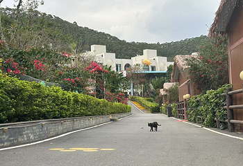 猫爪谷景区第 22 张图片