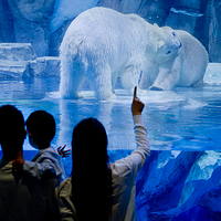郑州海昌海洋公园
