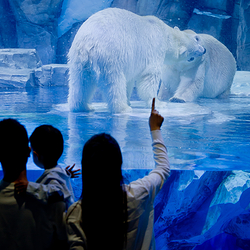 郑州海昌海洋公园