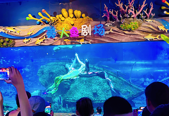 西安海洋馆第 8 张图片
