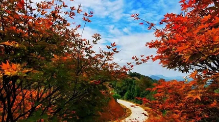 云峰山(长情谷)旅游景区第 1 张图片