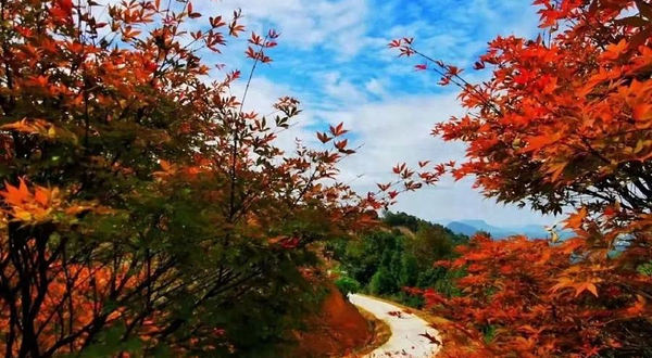 云峰山(长情谷)旅游景区