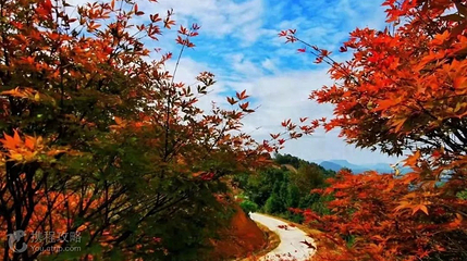 云峰山(长情谷)旅游景区第 5 张图片