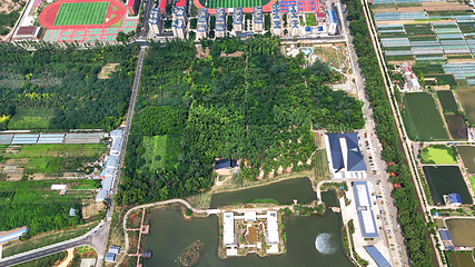 鸟语林生态旅游度假区第 20 张图片
