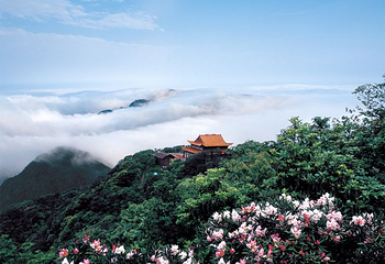 莽山旅游区国家森林公园第 37 张图片