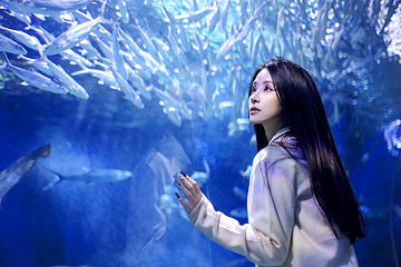 海合安武汉极地海洋公园第 198 张图片