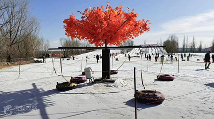 祥龙湾冰雪大世界第 2 张图片