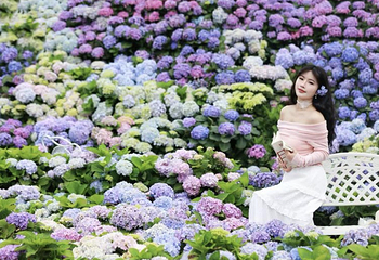 香遇百花园第 28 张图片