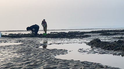 西海渔港赶海地第 10 张图片