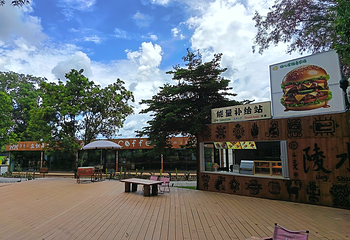 乐天归心居陆龟农场第 15 张图片