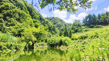 黄子山大峡谷景区第 1 张图片