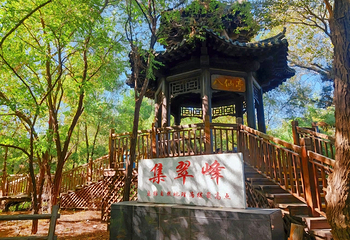盘锦森林公园第 51 张图片