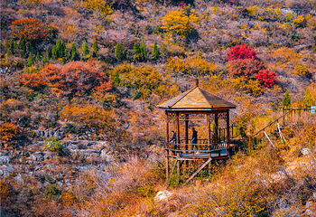 青铜山大峡谷第 63 张图片