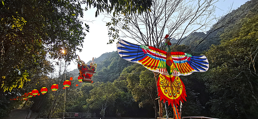 姑婆山旅游度假区第 15 张图片