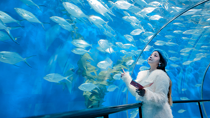 上海海洋水族馆第 32 张图片