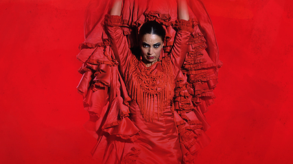 塞维利亚Teatro Flamenco Sevilla弗拉明戈剧院第 1 张图片
