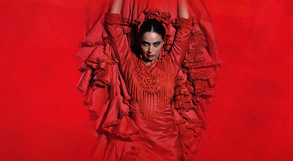 塞维利亚Teatro Flamenco Sevilla弗拉明戈剧院