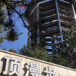 树顶漫步