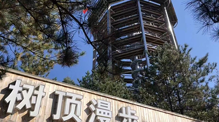 树顶漫步第 1 张图片