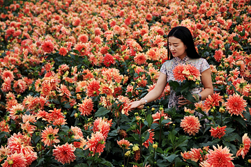 大丽花园第 6 张图片