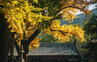 灵岩寺第 3 张图片