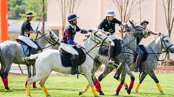 仙女山1003POLO CLUB马球俱乐部