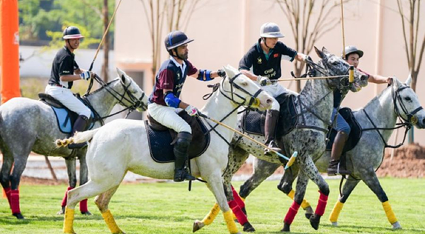 仙女山1003POLO CLUB马球俱乐部