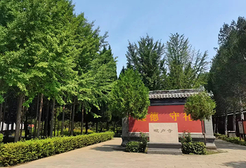 石家庄市毗卢寺博物院第 4 张图片