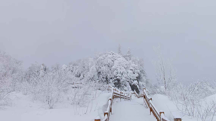 雪乡狗熊岭景区第 64 张图片