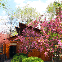 营口熊岳天沐温泉