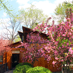 营口熊岳天沐温泉