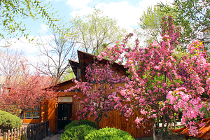 营口熊岳天沐温泉