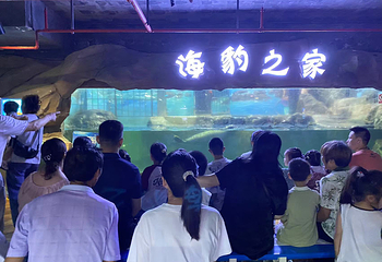 盐城海昌海洋探索馆第 38 张图片