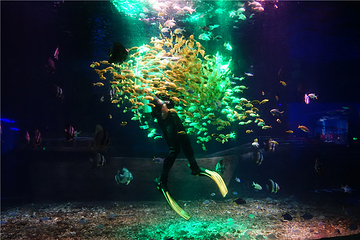 海昌海洋馆第 61 张图片