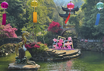 姑婆山旅游度假区第 16 张图片