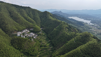 木坑竹海第 4 张图片