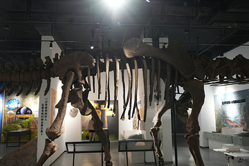 新琅琊恐龙展-《人与生物学》展学空间第 7 张图片
