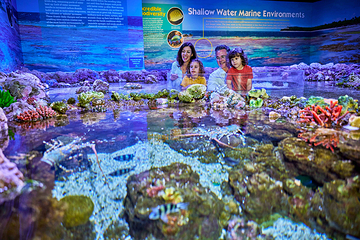 凯恩斯水族馆第 20 张图片