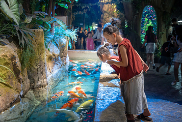 河内乐天世界水族馆第 12 张图片