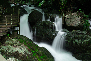 海南百花岭热带雨林文化旅游区第 69 张图片