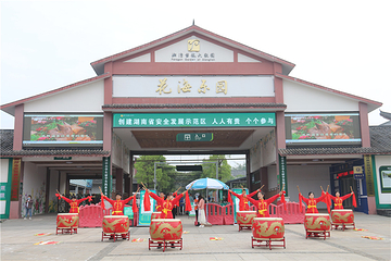 盘龙大观园第 10 张图片