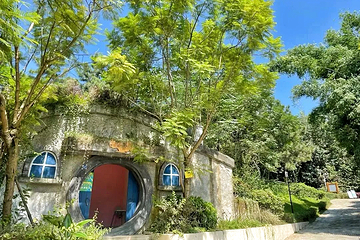 松鼠的森林第 18 张图片